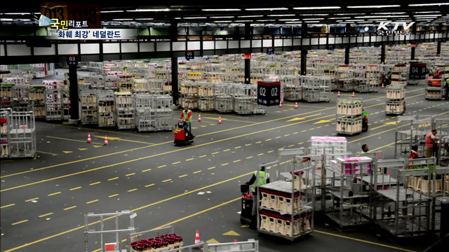 '화훼 최강' 네덜란드의 성공 비결은