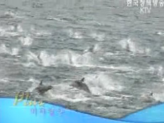 플러스 바다영상