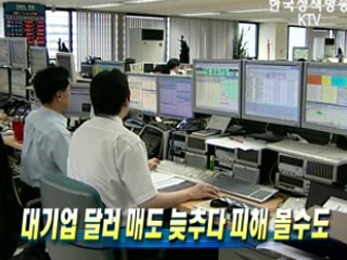 대기업 달러매도 늦추다 피해 볼수도