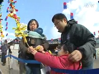 서울 설날스케치