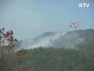 부처합동 산불방지 대국민 담화