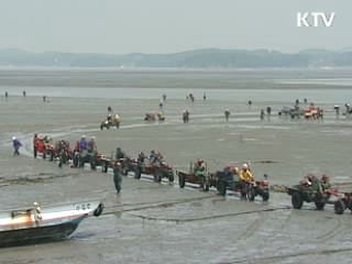 갯벌 수산물, 명품으로 거듭난다