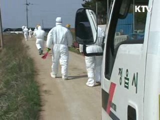 정부, '농가·여행객 AI 방역 협조' 당부