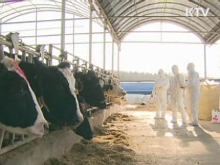 이 대통령 "구제역 백신 자체생산 검토"