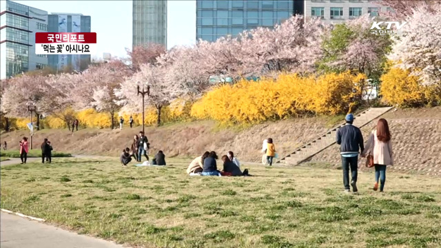 꽃의 맛과 향기를 입으로 느끼세요 [국민리포트]