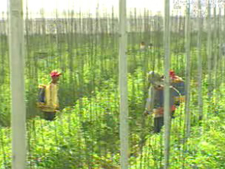 FTA 연속 해외르포, 멕시코편 Ⅲ - 경쟁력이 관건