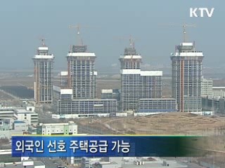 특별법 전환, 경제자유구역 탄력