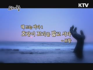 호랑이 꼬리를 밟고 서다 - 포항