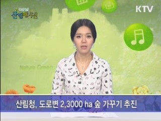 산림청, 도로변 2,3000ha 숲 가꾸기 추진