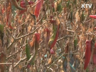 정부, 불산 누출사고 재해복구비 107억원 지원