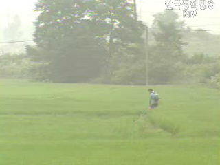 공공비축쌀 한 가마 4만 8천 450원