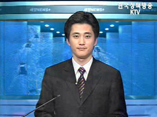 국제해사기구의 해상안전분야 감사 대응계획