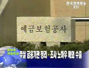 부실 금윰기관 정리.조사 노하우 해외수출