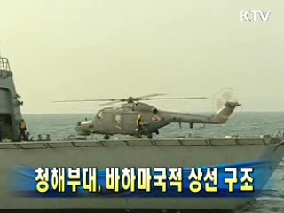 청해부대, 바하마국적 상선 구조