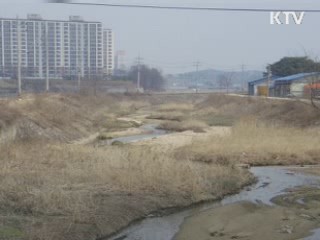 4대강 수량 활용, 지방하천 살린다