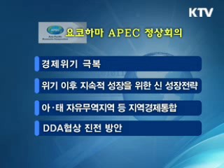 이 대통령, APEC 참석 'G20 협력 제안'