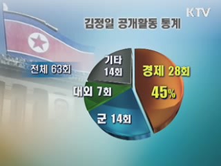 '김정일 경제·김정은 국방' 활동 치중