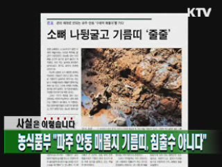 농식품부 "파주 안동 매몰지 기름띠, 침출수 아니다"