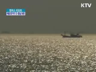 '보령 머드축제' 14일부터 시작 [캠퍼스 리포트]