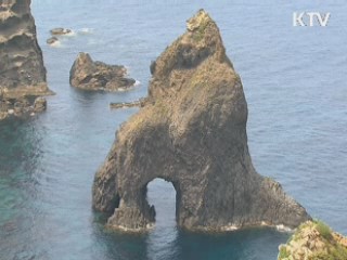 日, 외교청서 초안에 "독도 일본 땅" 명시한 듯