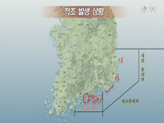 적조 비상···적조 방제 사업비 즉각 지원