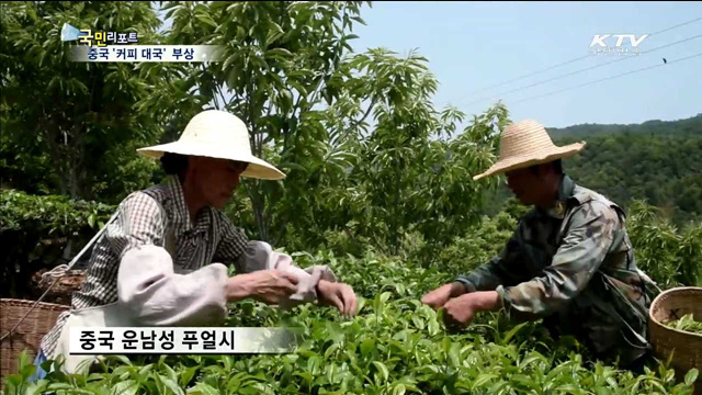 13억 중국 '커피 대국'으로 부상