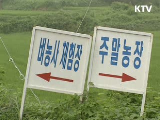 도시민 농촌관광 꾸준히 증가