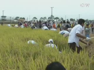 10월 전국 방방곡곡 풍성한 축제