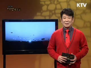 풍요와 지혜의 시대, 신묘년 토끼이야기 