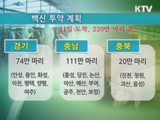 경기·충청 양돈 집산지 우선 접종