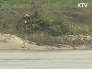 침수피해 줄어든 금강, 마무리 작업 박차