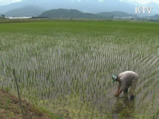 노후 저수지 보강···재해대비 예산 증액