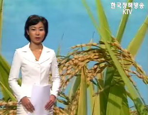 정책&초점1
