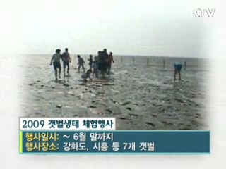'2009 갯벌생태 체험행사' [문화현장]