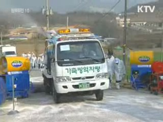 해당농가 살처분 완료…위기경보 '주의'