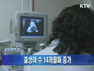 출생아 수 14개월째 증가