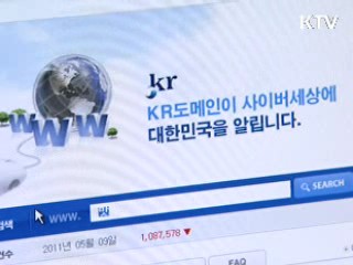 316만건 접수···최고 인기 도메인 '부동산·한국'