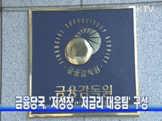 금융당국, '저성장·저금리 대응팀' 구성