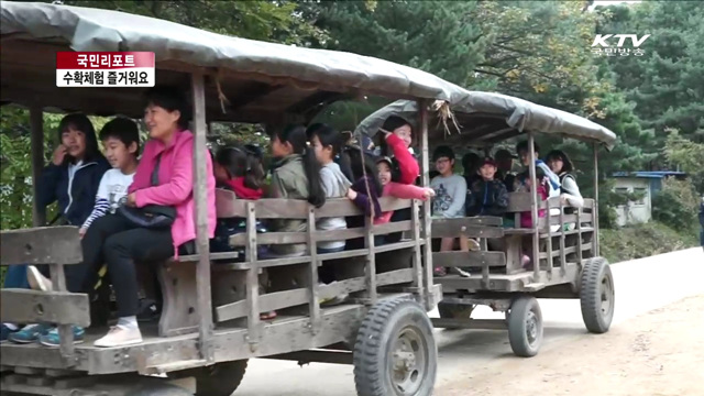 수확체험마을…가을 여행지로 인기 [국민리포트]