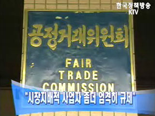`시장지배적 사업자 좀더 엄격히 규제`