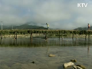 농촌종합개발 대상지 45곳 선정