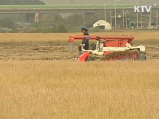 통계청 "쌀 생산량 통계 정확"