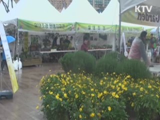 4월은 식목월···'서울, 꽃으로 피다' [캠퍼스 리포트]