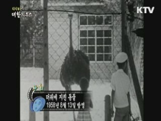 다시보는 대한늬우스 (58.08.13)