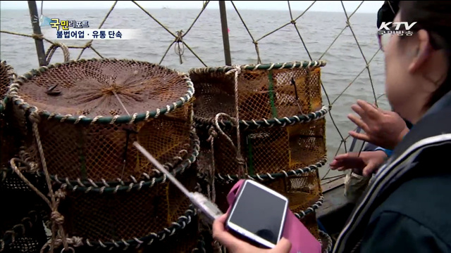 산란기, 불법 어업·유통 집중 단속