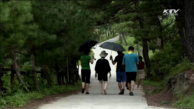 14일 임시공휴일 지정…전국 고속도로 통행료 면제