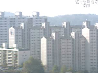 위장전입 아파트 당첨자 81명 검거