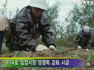 경제 살리는 산림행정