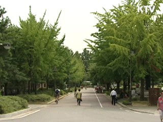 여름의 길목, '자외선 주의하세요'