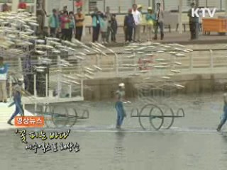 영상뉴스